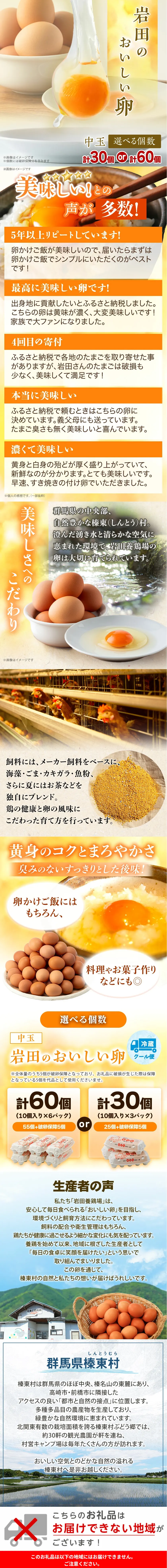 岩田のおいしい卵 商品LP