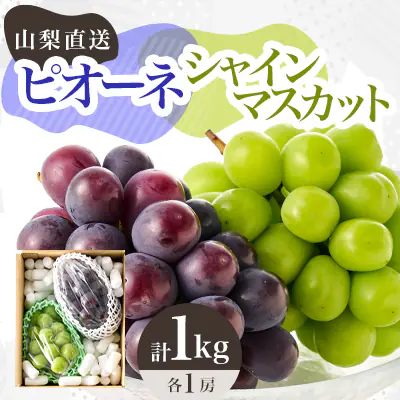 ピオーネ＆シャインマスカット 商品画像
