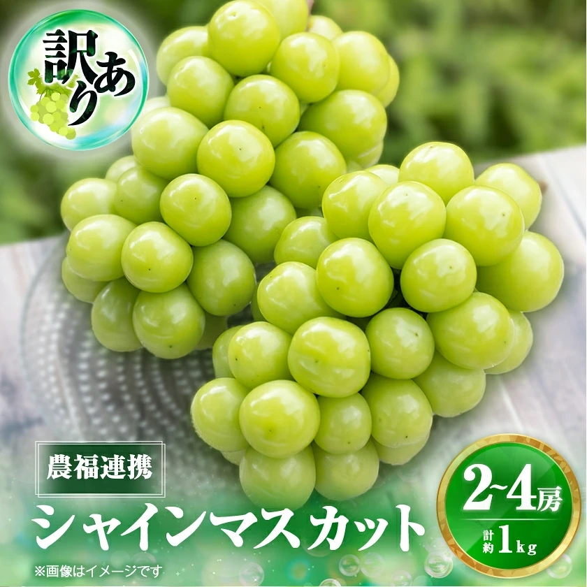 訳ありシャインマスカット 商品LP
