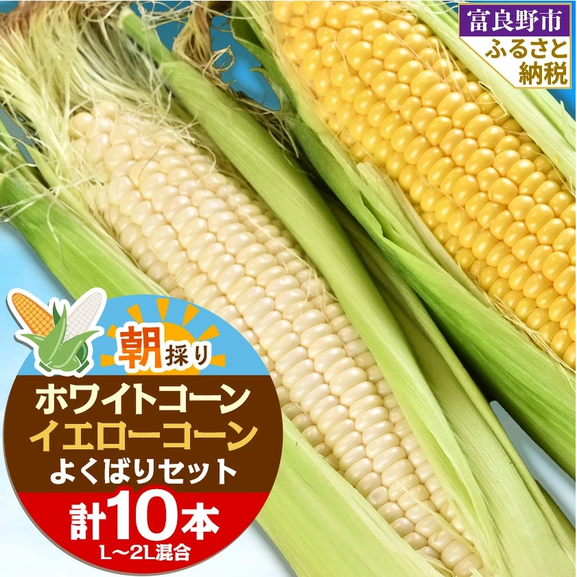 富良野産コーン食べ比べセット 商品LP