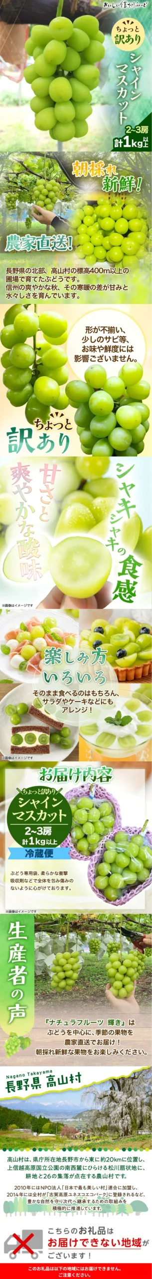 信州産シャインマスカット 商品LP